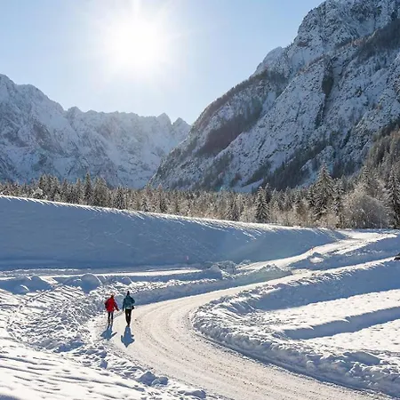 Boutique V 4* Kranjska Gora